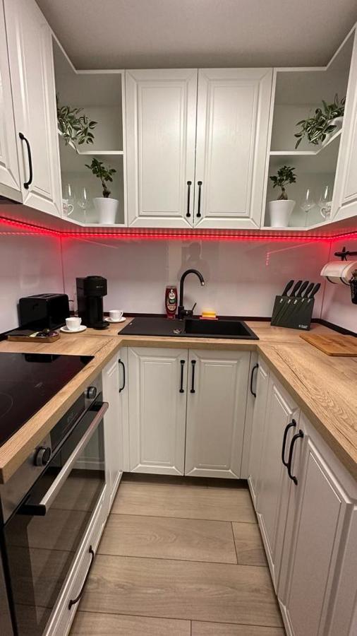 Bogdan'S Ultracentral Residence 1 티미쇼아라 외부 사진